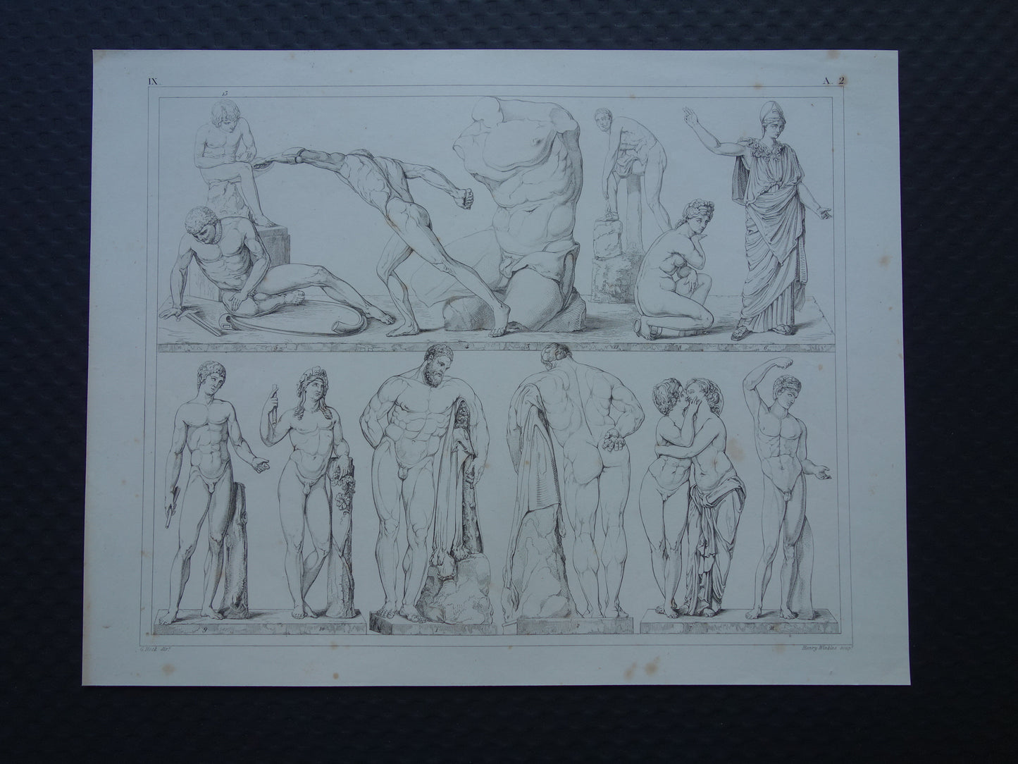 Oude prent kunstgeschiedenis Beelden Hercules Adonis Originele antieke print Venus Bacchus Cupido Kunst Beeldhouwkunst vintage illustratie Beeldhouwwerken