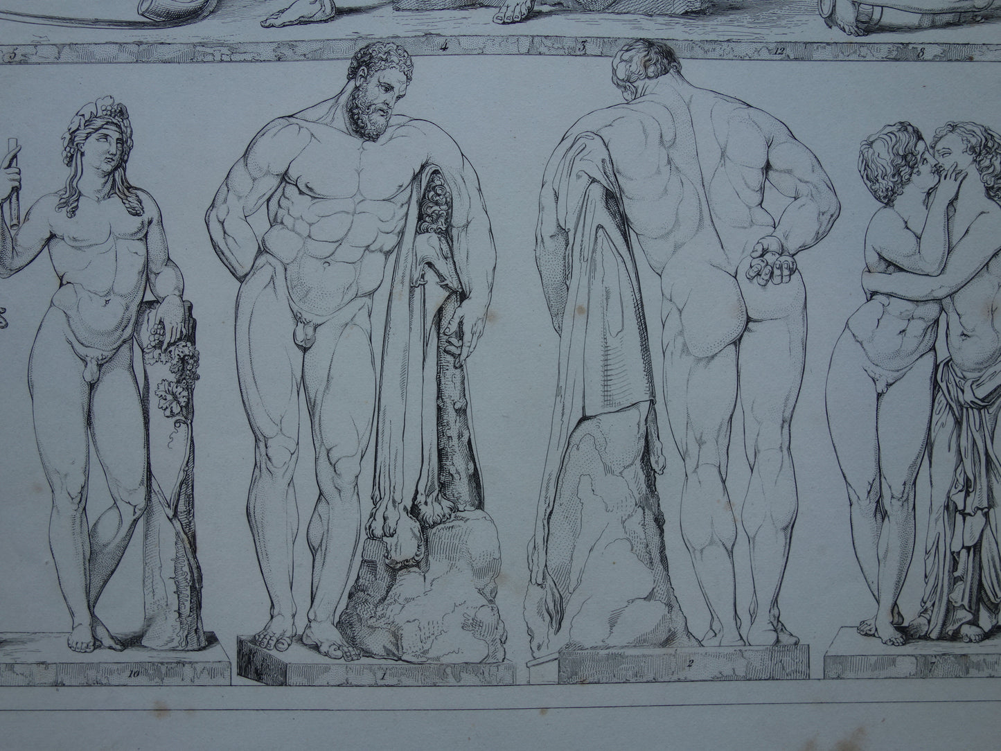 Oude prent kunstgeschiedenis Beelden Hercules Adonis Originele antieke print Venus Bacchus Cupido Kunst Beeldhouwkunst vintage illustratie Beeldhouwwerken