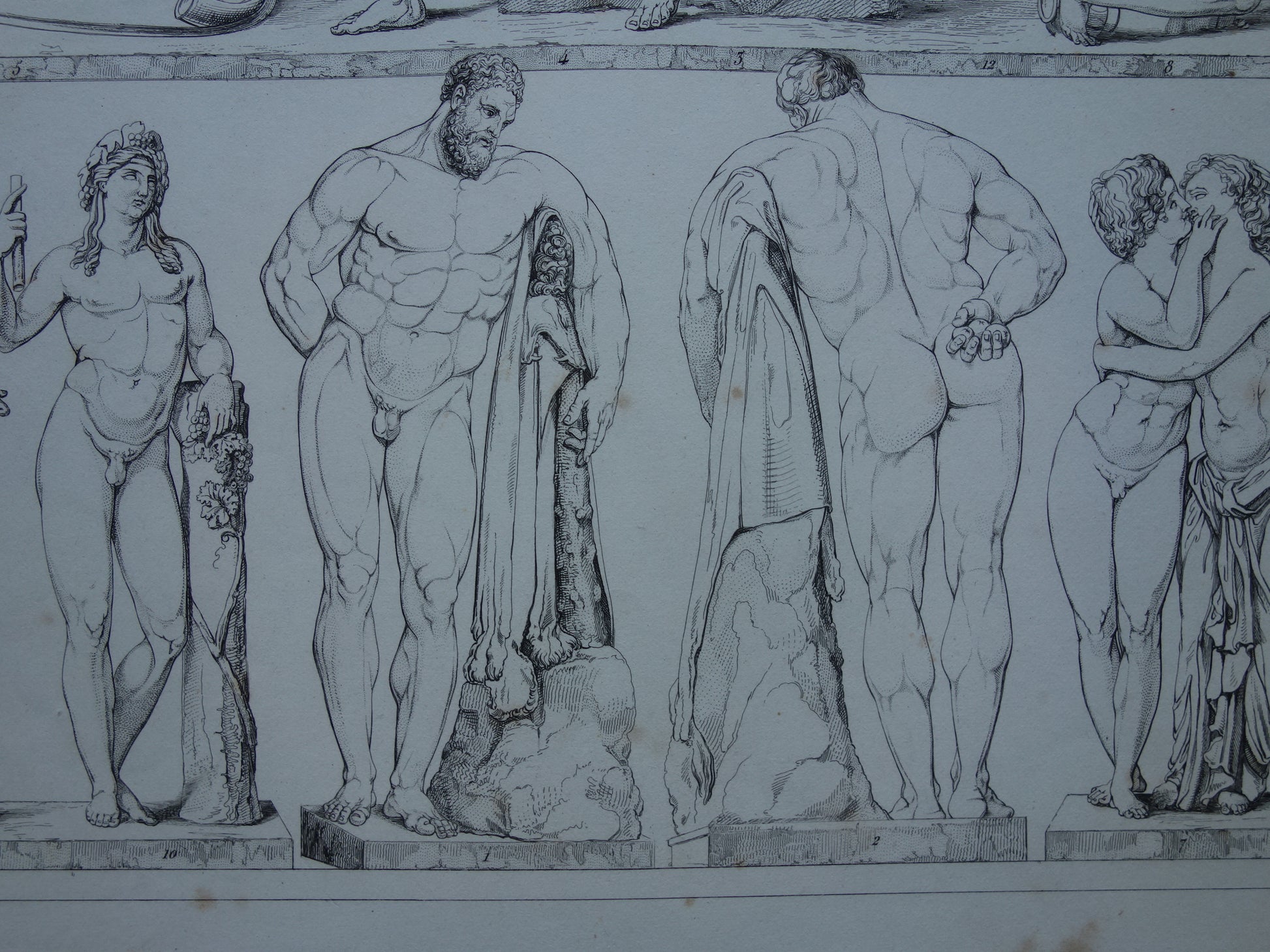 Oude prent kunstgeschiedenis Beelden Hercules Adonis Originele antieke print Venus Bacchus Cupido Kunst Beeldhouwkunst vintage illustratie Beeldhouwwerken