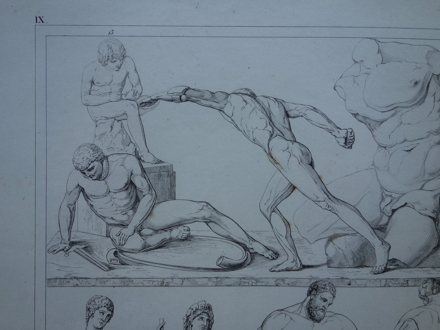 Oude prent kunstgeschiedenis Beelden Hercules Adonis Originele antieke print Venus Bacchus Cupido Kunst Beeldhouwkunst vintage illustratie Beeldhouwwerken