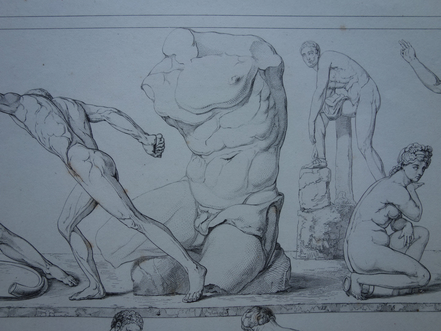 Oude prent kunstgeschiedenis Beelden Hercules Adonis Originele antieke print Venus Bacchus Cupido Kunst Beeldhouwkunst vintage illustratie Beeldhouwwerken