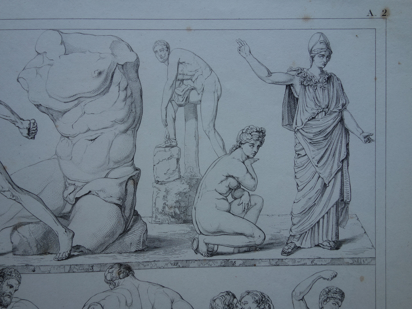 Oude prent kunstgeschiedenis Beelden Hercules Adonis Originele antieke print Venus Bacchus Cupido Kunst Beeldhouwkunst vintage illustratie Beeldhouwwerken