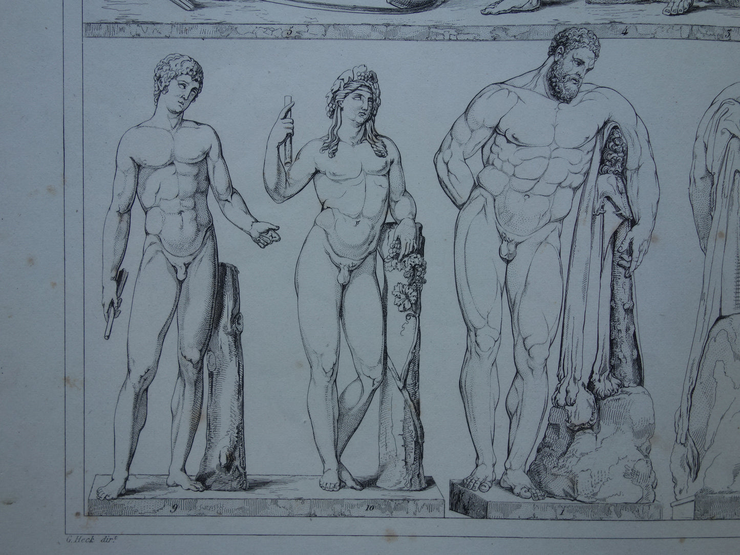 Oude prent kunstgeschiedenis Beelden Hercules Adonis Originele antieke print Venus Bacchus Cupido Kunst Beeldhouwkunst vintage illustratie Beeldhouwwerken