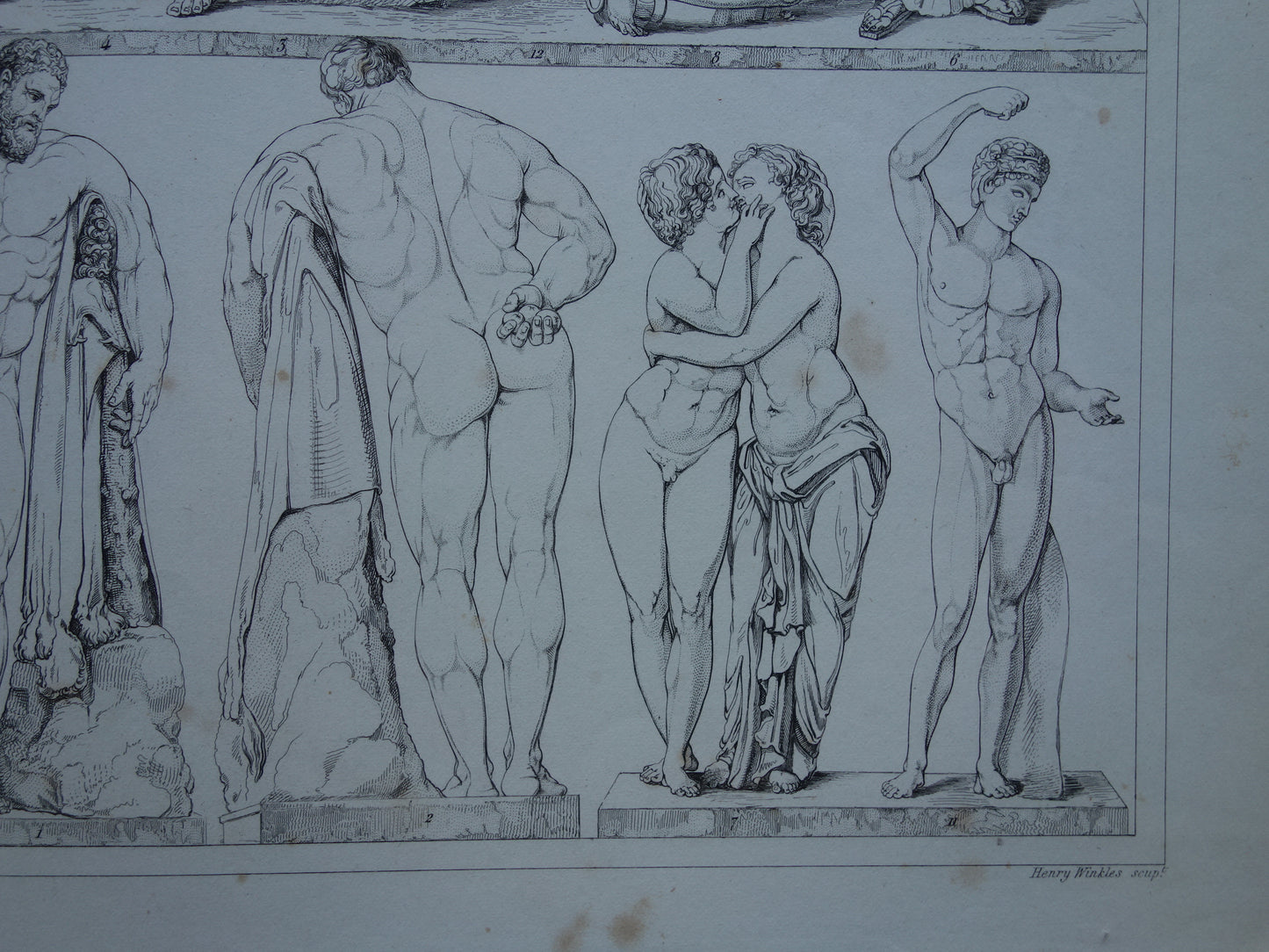 Oude prent kunstgeschiedenis Beelden Hercules Adonis Originele antieke print Venus Bacchus Cupido Kunst Beeldhouwkunst vintage illustratie Beeldhouwwerken