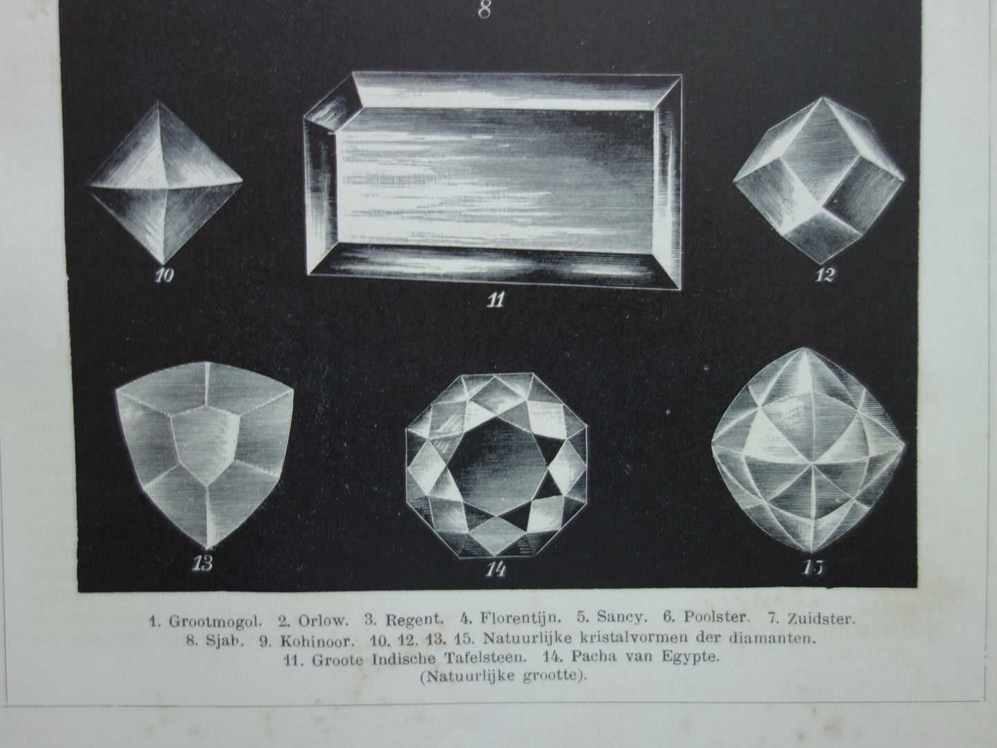 DIAMANTEN oude prent uit 1907 over beroemde Diamant Koh-I-Noor Originele antieke Nederlandse illustratie print