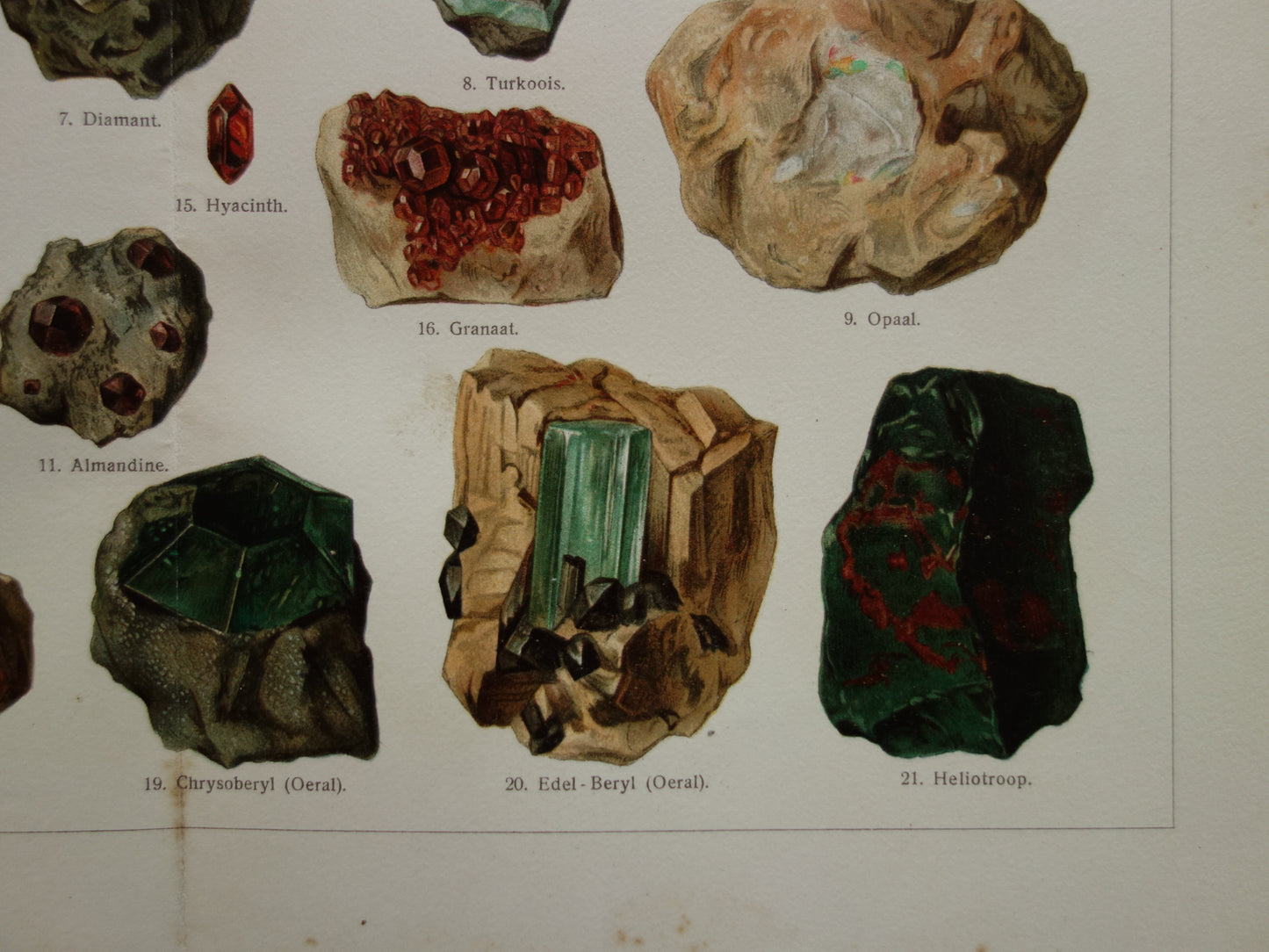 Antike Illustration von Edelsteinen: Smaragd, Topas, Turmalin. Alter Druck von 1907. Original niederländischer Edelsteindruck. Amethyst.