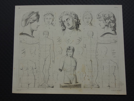 Old print painting theory proportions of the human body original antique illustration vintage prints