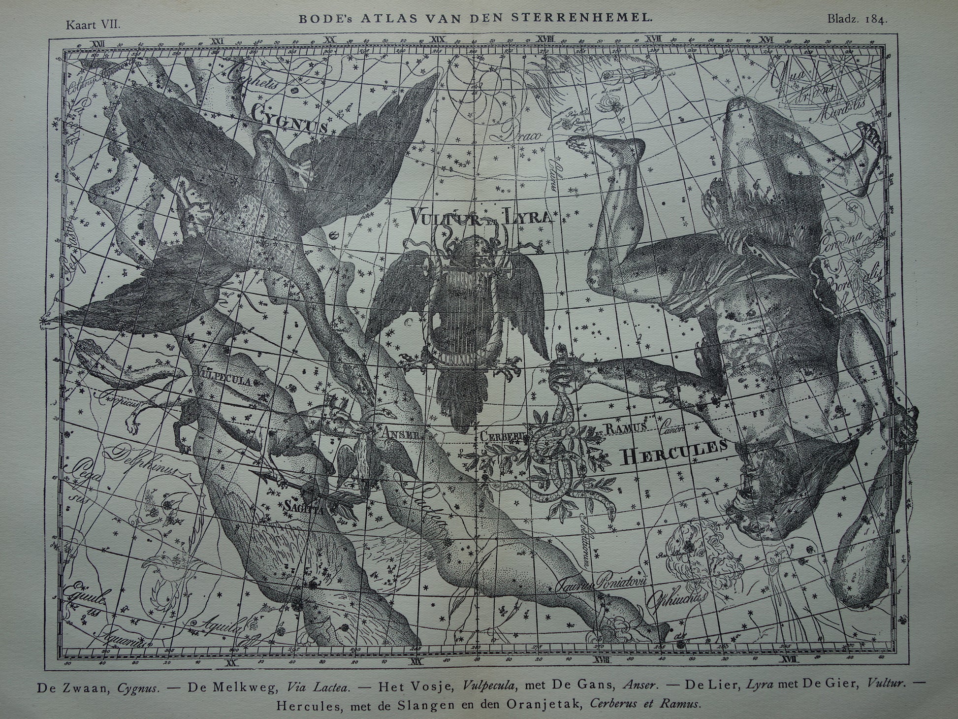 Oude astronomie prent van sterrenbeelden Hercules Cygnus en Vultur Lyra Antieke sterrenkaart astrologie sterrenbeeld vintage print