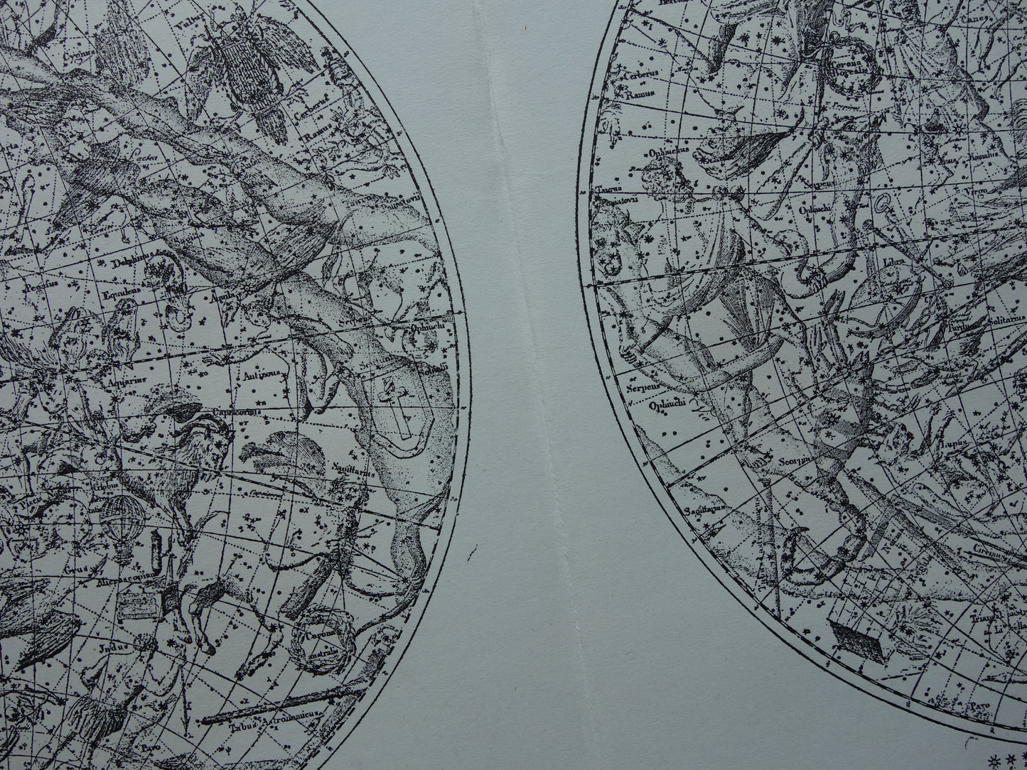 Antieke astronomie prent van de noordelijke en zuidelijke sterrenhemel 1898 originele vintage print sterrenbeelden oude astrologie print