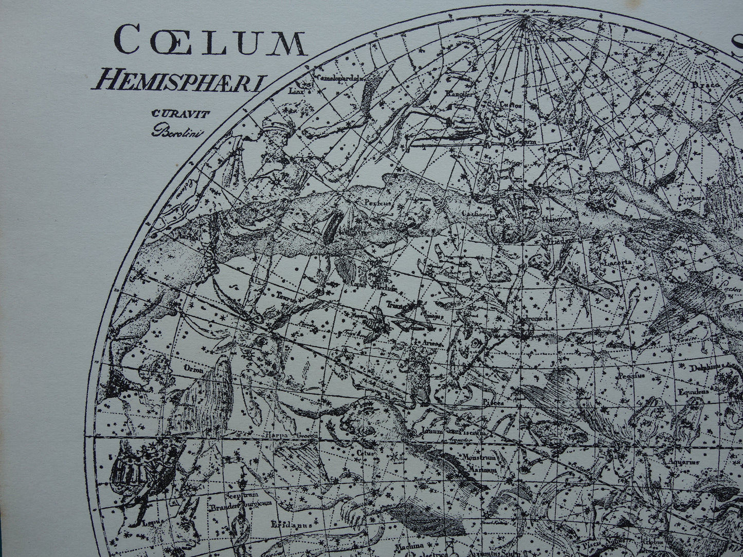 Antieke astronomie prent van de noordelijke en zuidelijke sterrenhemel 1898 originele vintage print sterrenbeelden oude astrologie print