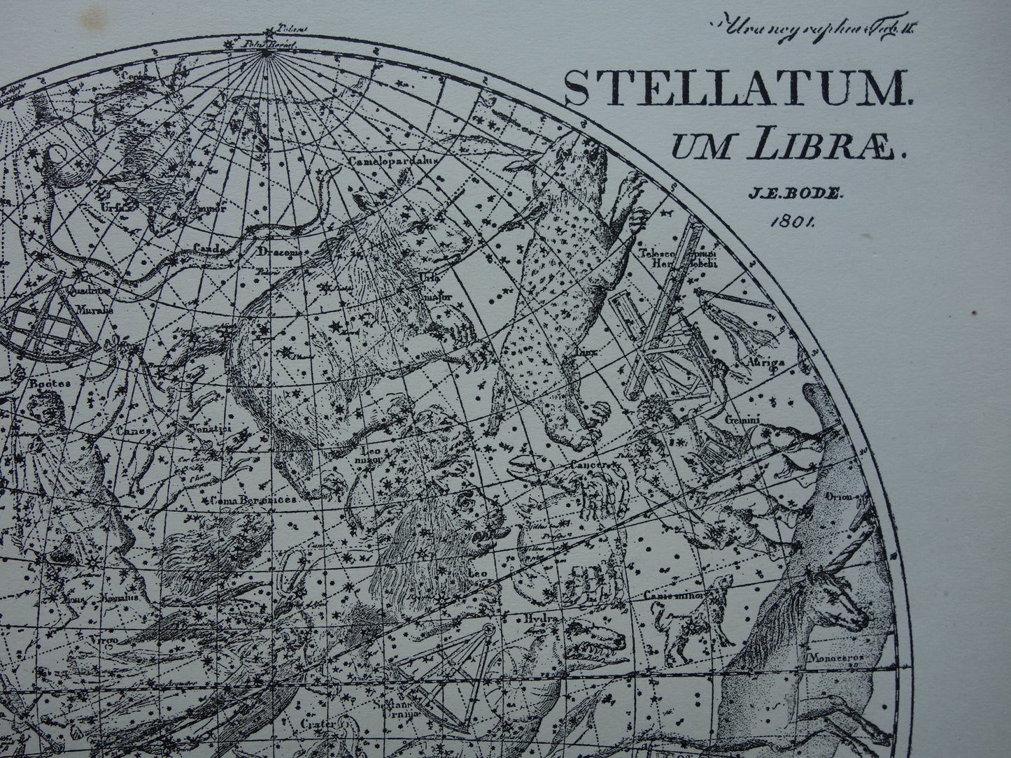 Antieke astronomie prent van de noordelijke en zuidelijke sterrenhemel 1898 originele vintage print sterrenbeelden oude astrologie print