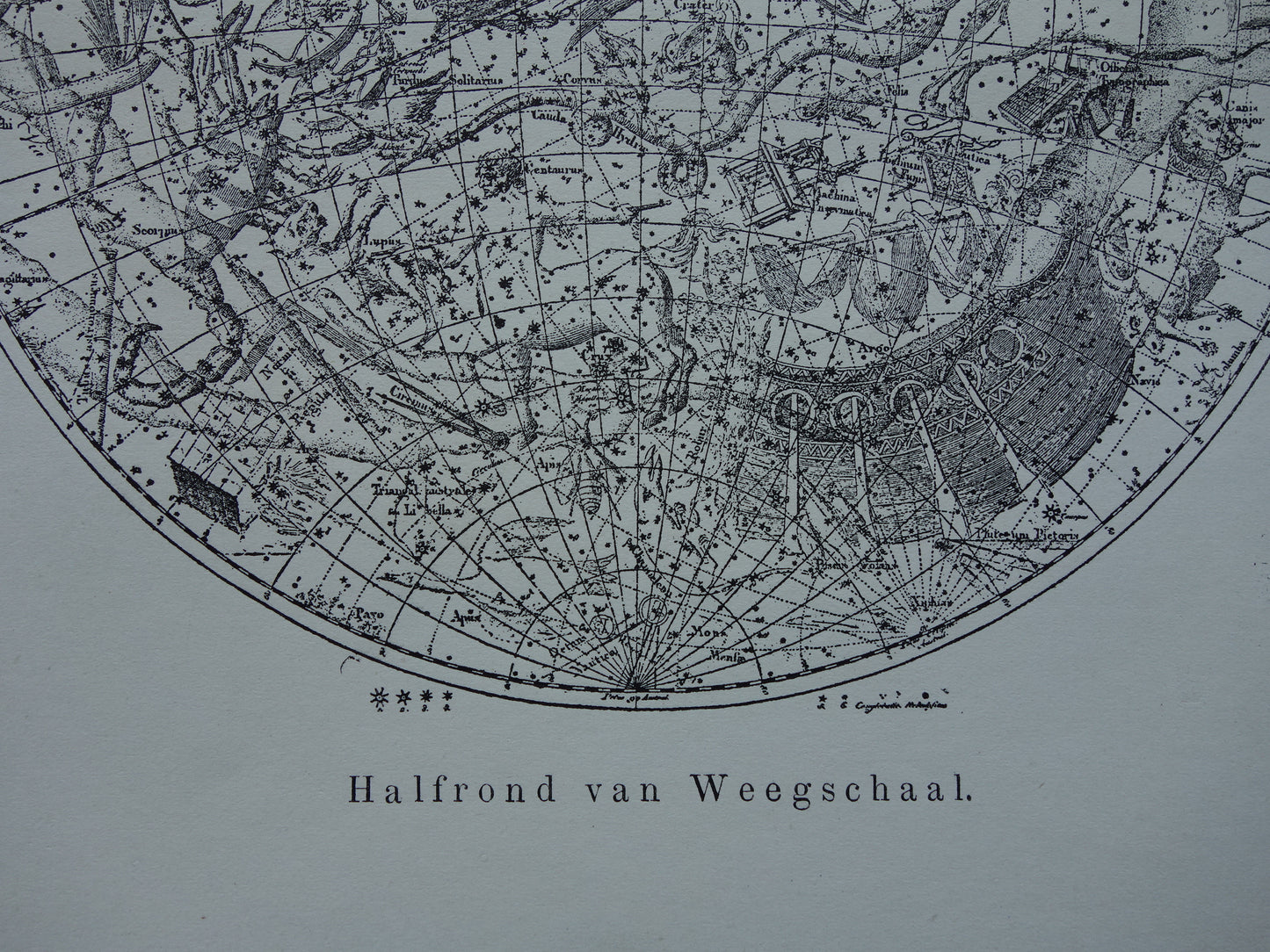Antieke astronomie prent van de noordelijke en zuidelijke sterrenhemel 1898 originele vintage print sterrenbeelden oude astrologie print