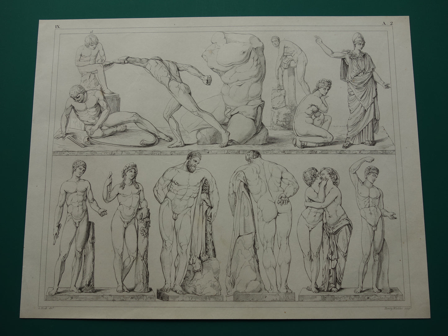 Oude prent kunstgeschiedenis Beelden Hercules Adonis Originele antieke print Venus Bacchus Cupido Kunst Beeldhouwkunst vintage illustratie Beeldhouwwerken