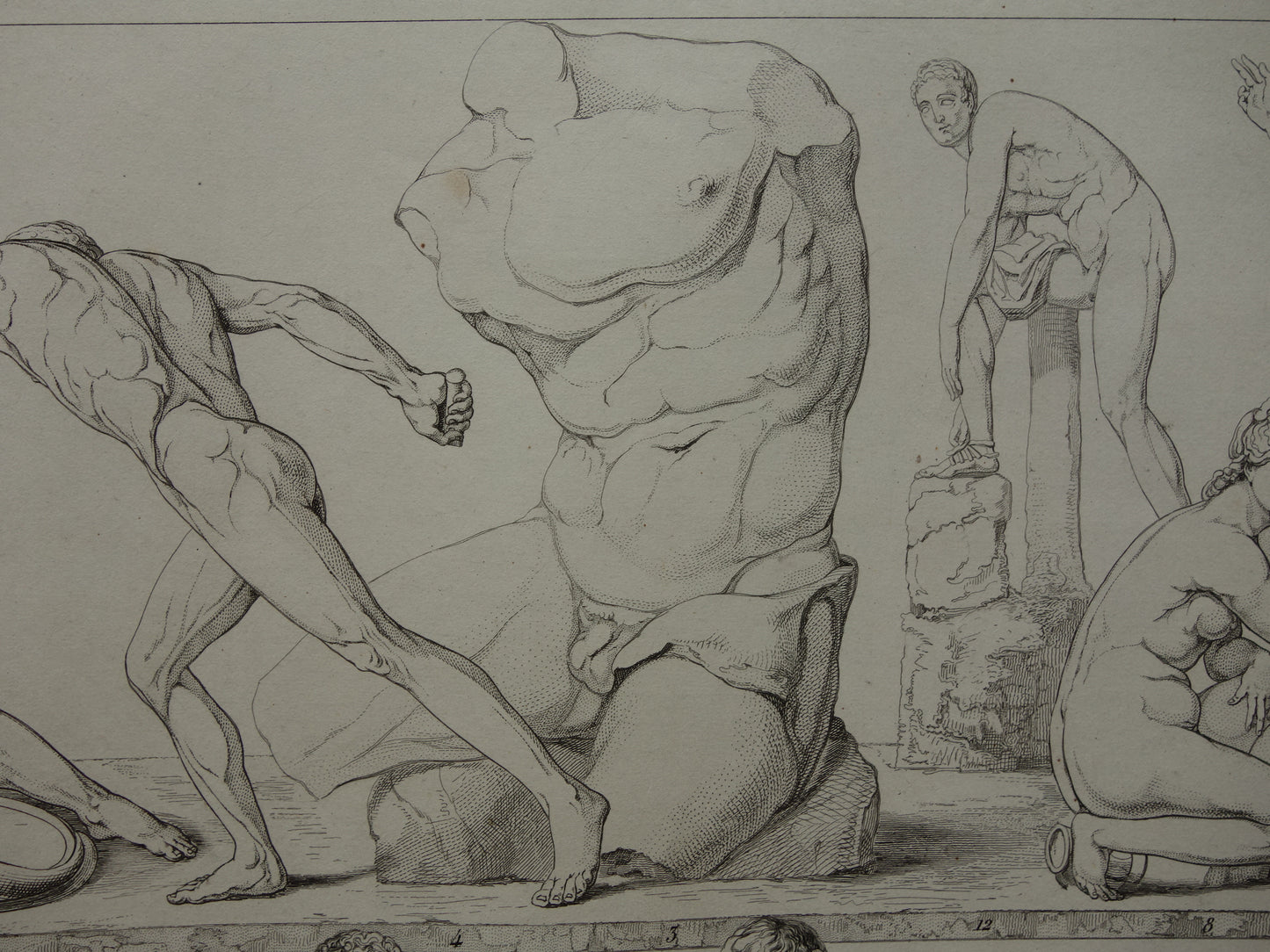 Oude prent kunstgeschiedenis Beelden Hercules Adonis Originele antieke print Venus Bacchus Cupido Kunst Beeldhouwkunst vintage illustratie Beeldhouwwerken