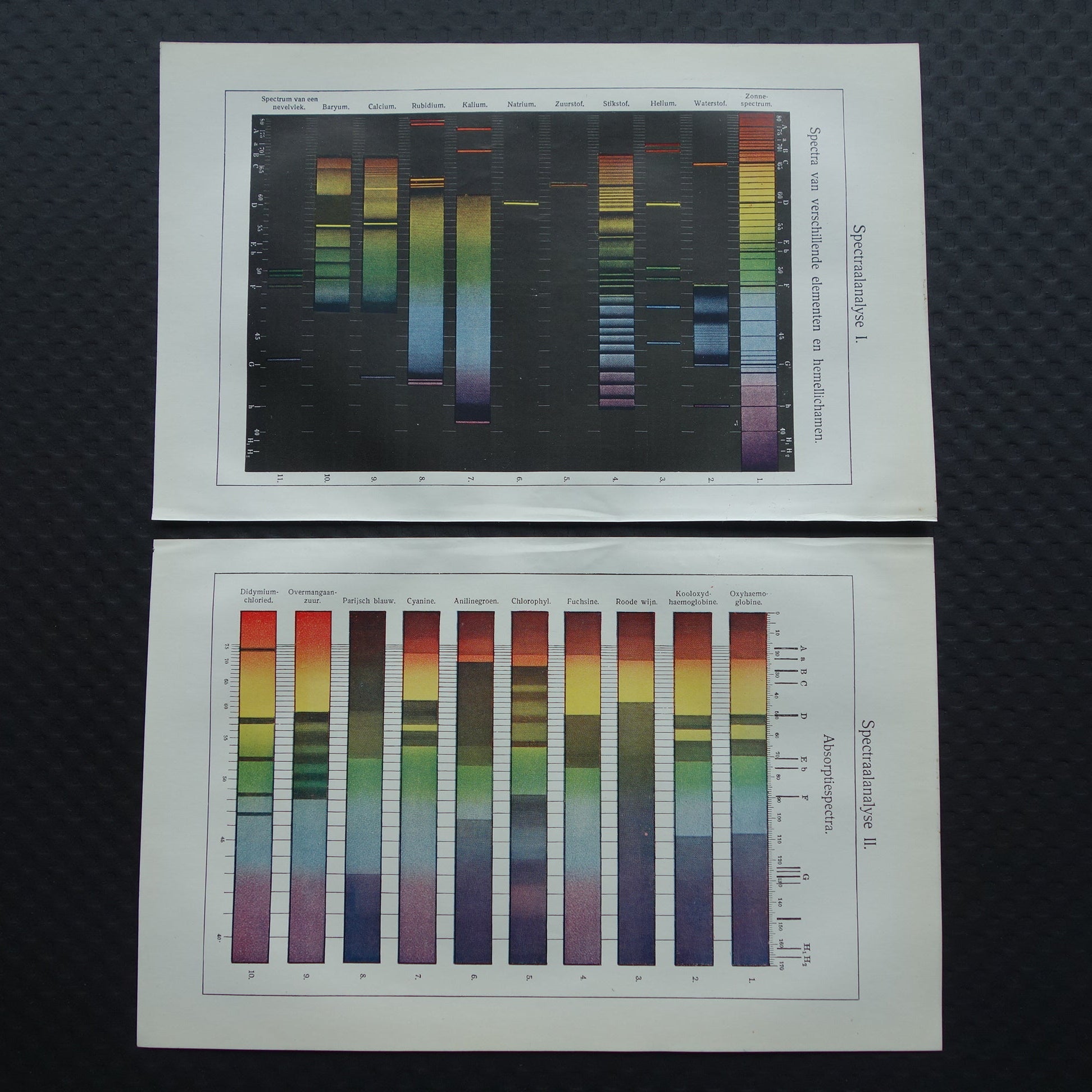 natuurkundige cadeau muurdecoratie