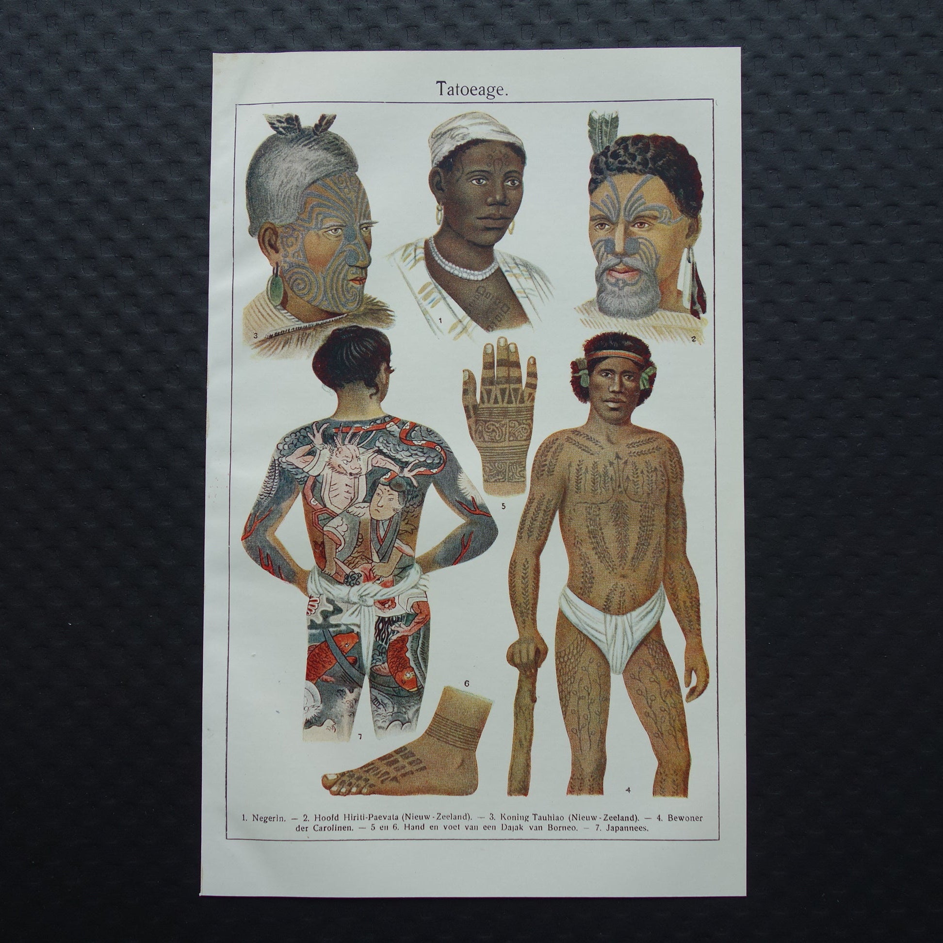 TATOEAGE oude prent uit 1922 Originele antieke Nederlandse illustratie Tatoeages vintage prints