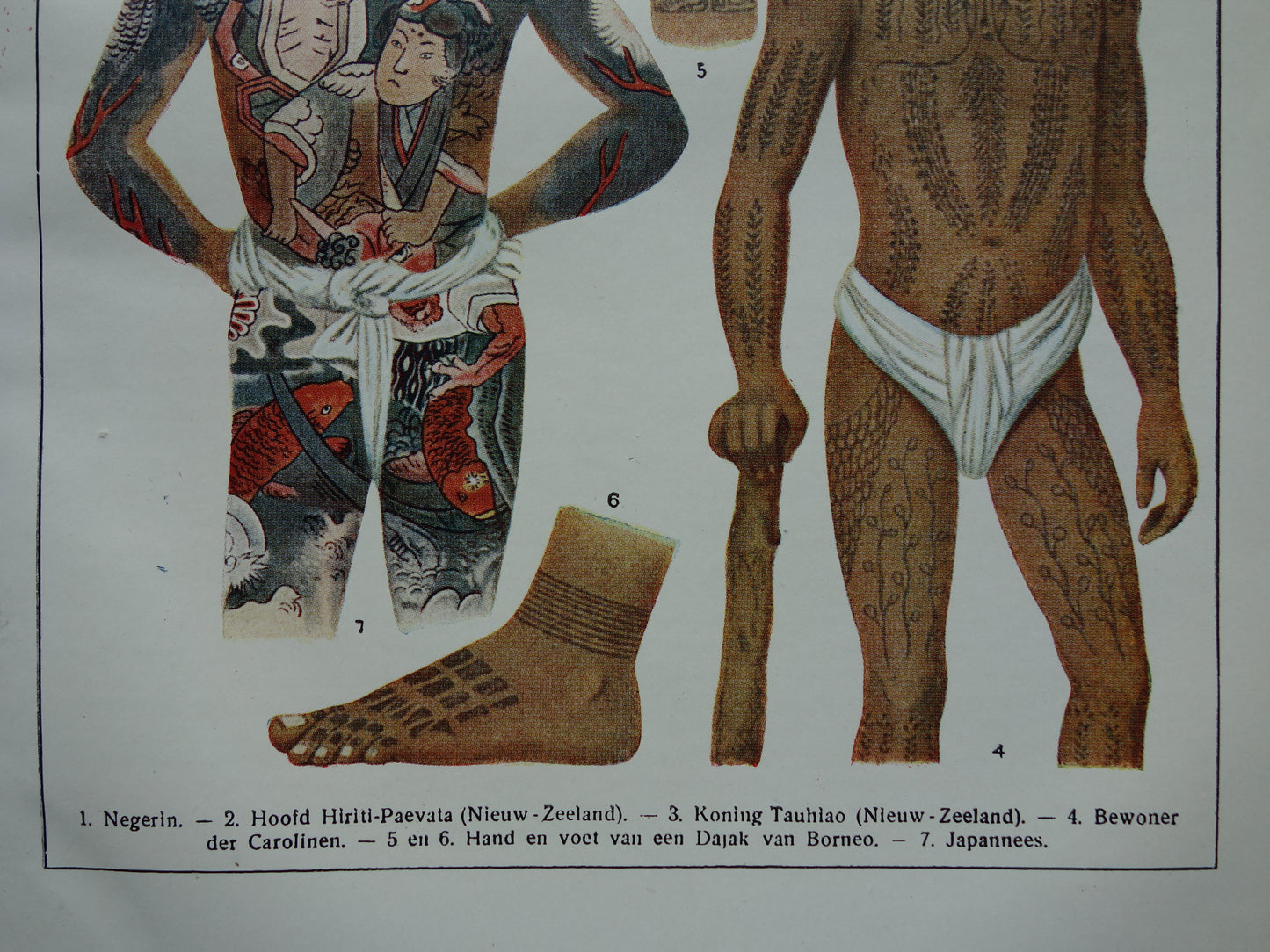 TATOEAGE oude prent uit 1922 Originele antieke Nederlandse illustratie Tatoeages vintage prints