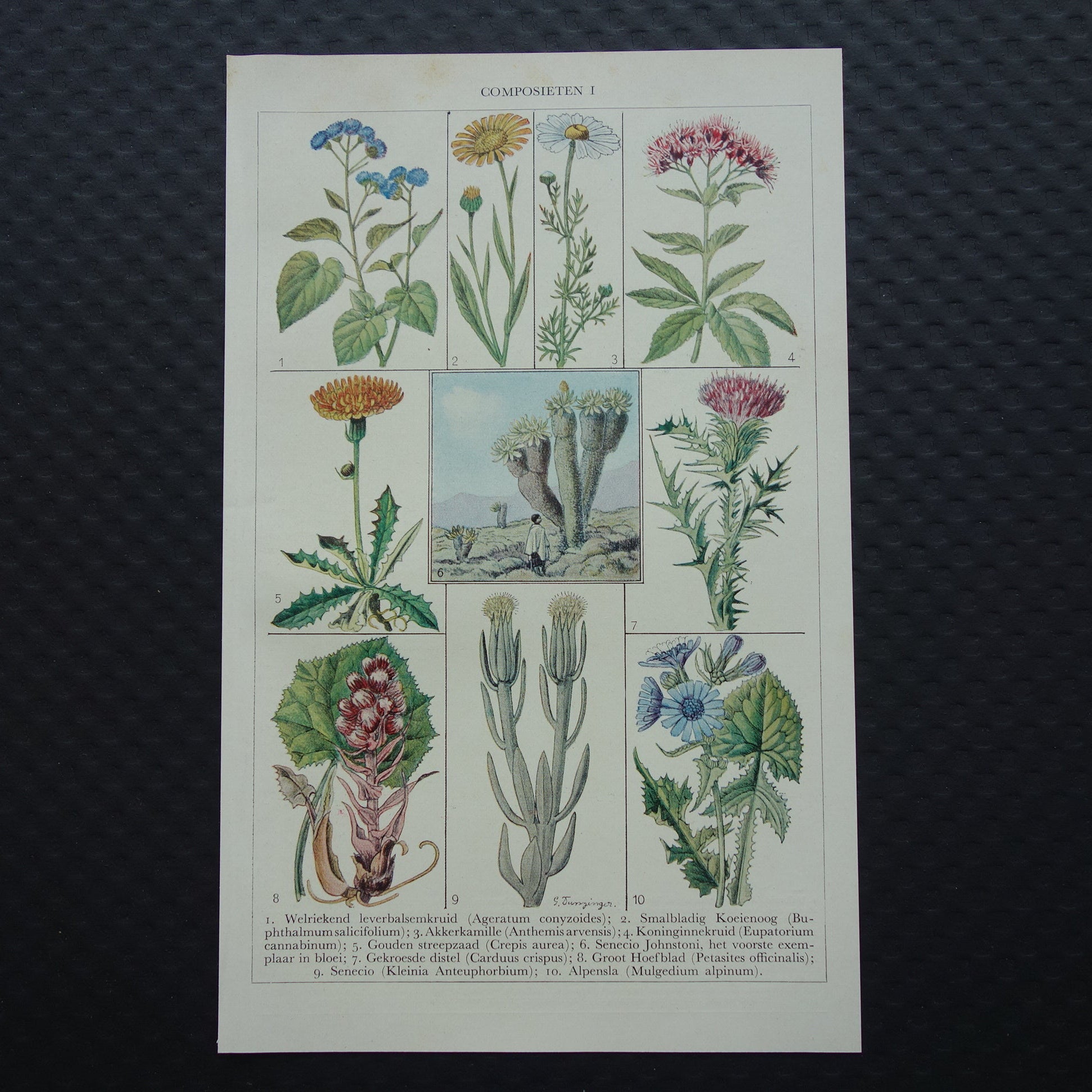 jaren dertig muurdecoratie