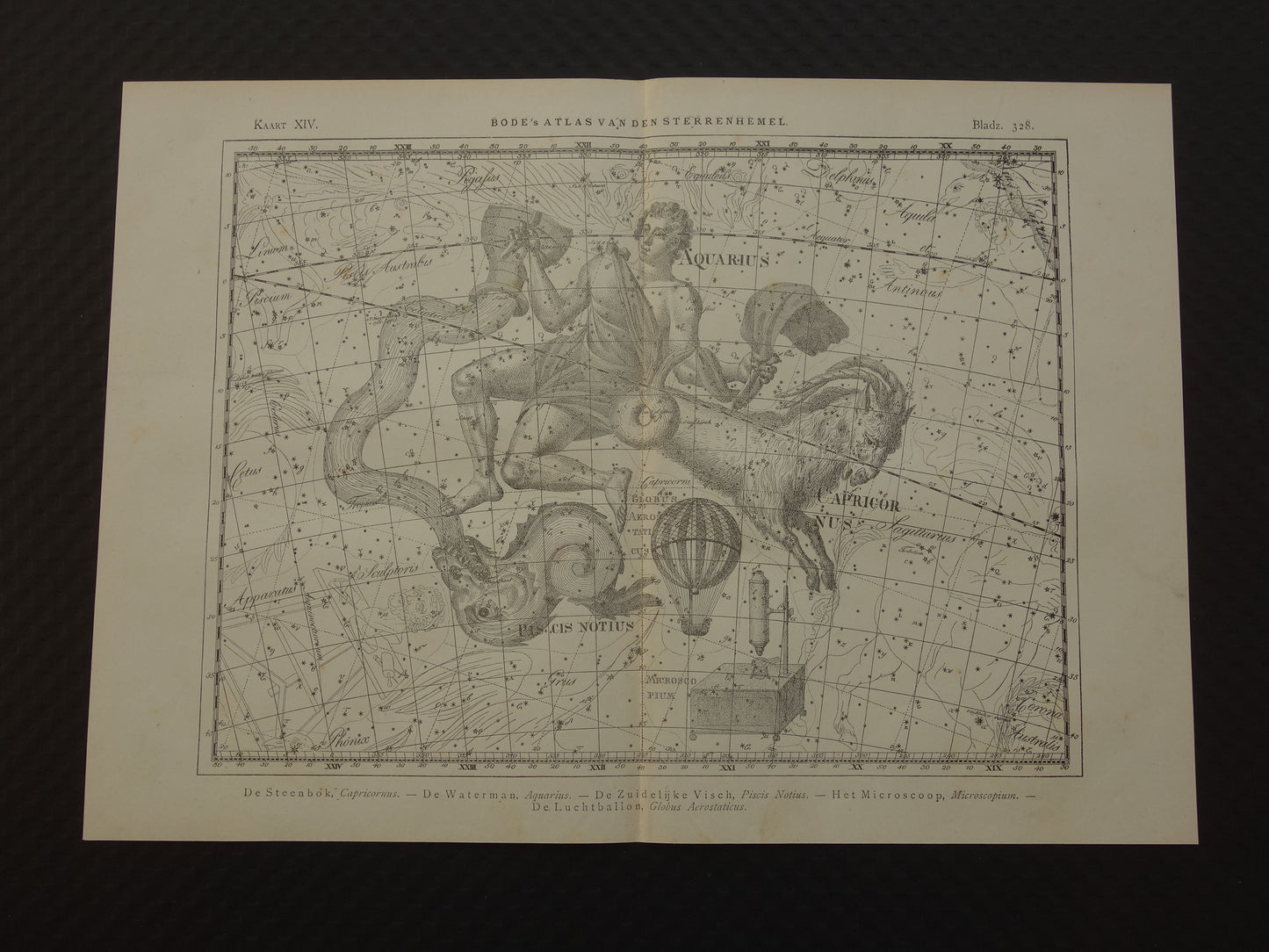 Waterman en Steenbok Oude astrologie prent van sterrenbeeld Antieke sterrenkaart astronomie sterrenbeelden vintage print