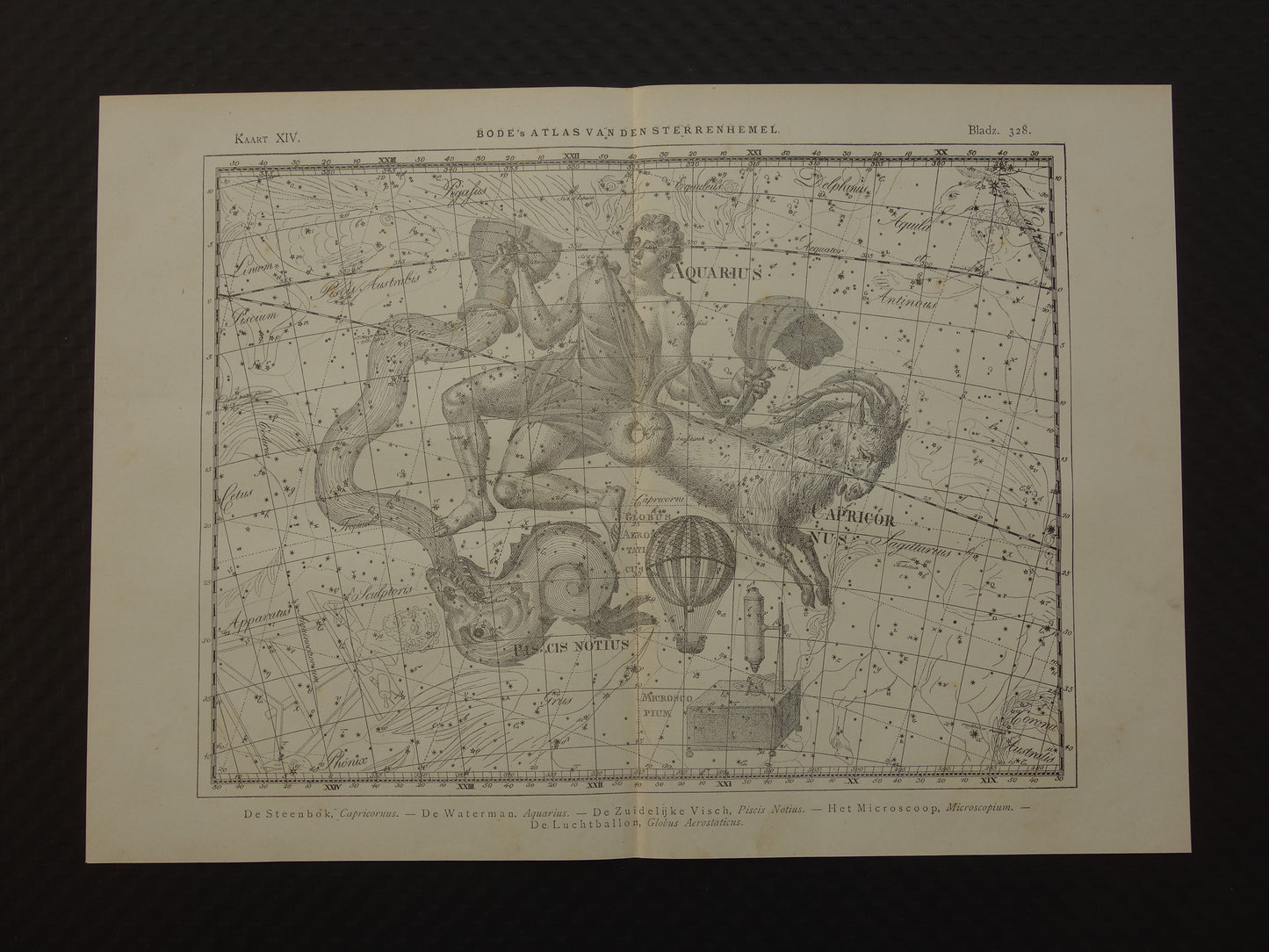 Waterman en Steenbok Oude astrologie prent van sterrenbeeld Antieke sterrenkaart astronomie sterrenbeelden vintage print