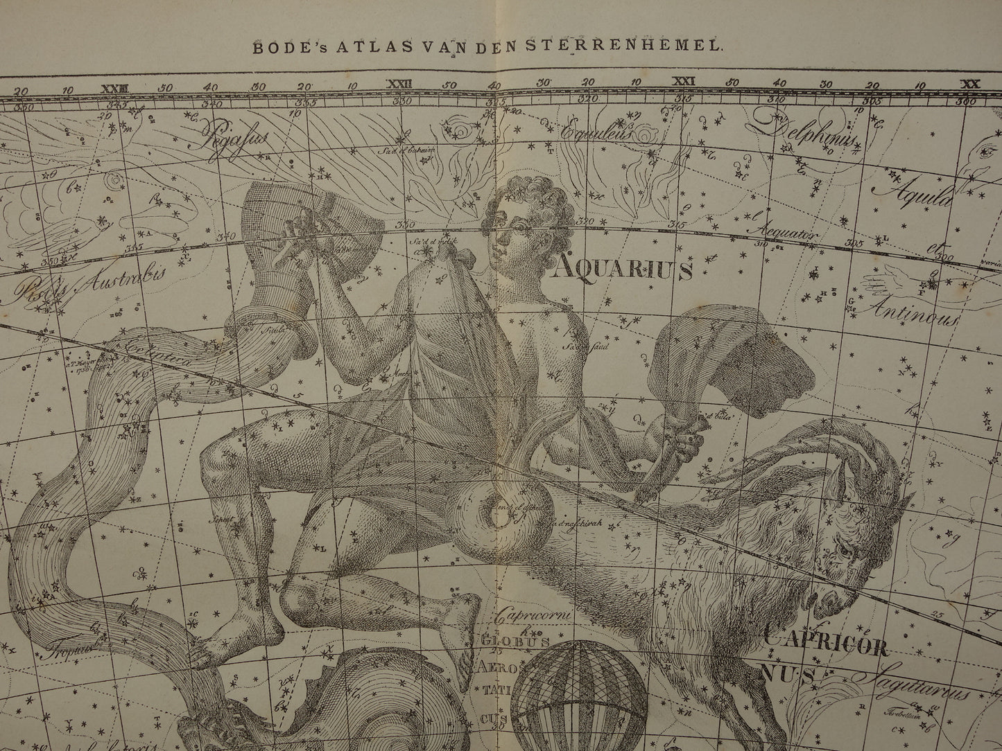 Waterman en Steenbok Oude astrologie prent van sterrenbeeld Antieke sterrenkaart astronomie sterrenbeelden vintage print