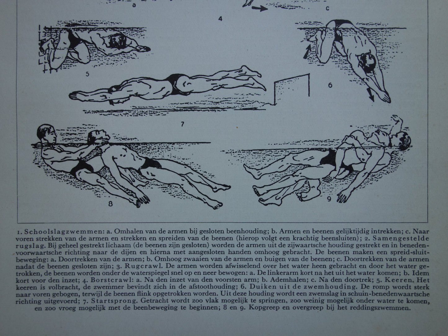 ZWEMMEN Oude sport prent over zwemslag - Originele vintage Nederlandse illustratie uit 1938 zwemslagen schoolslag
