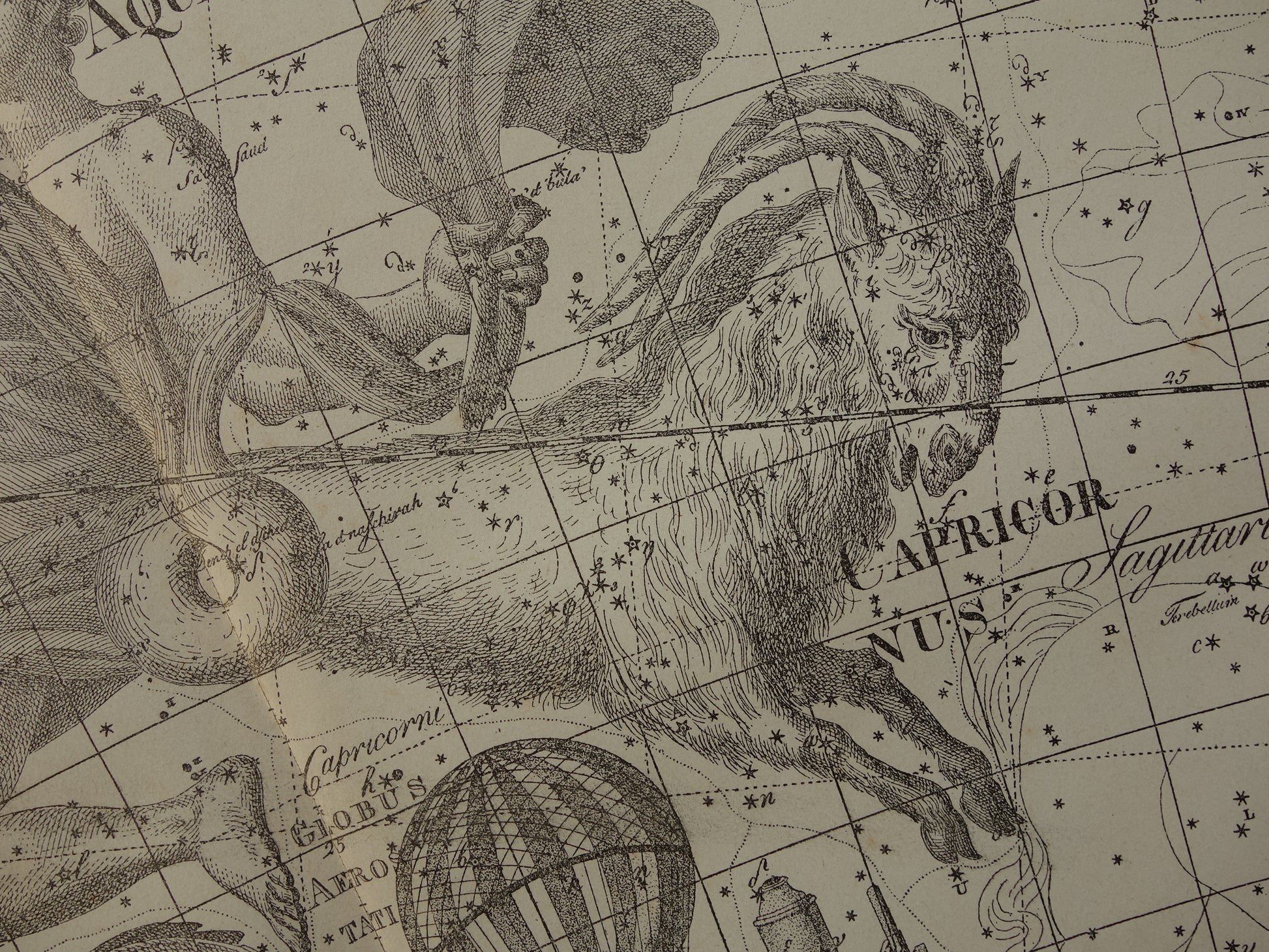 steenbok sterrenbeeld cadeau