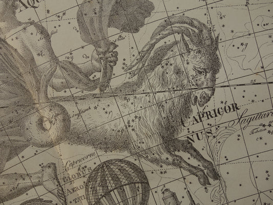 steenbok sterrenbeeld cadeau