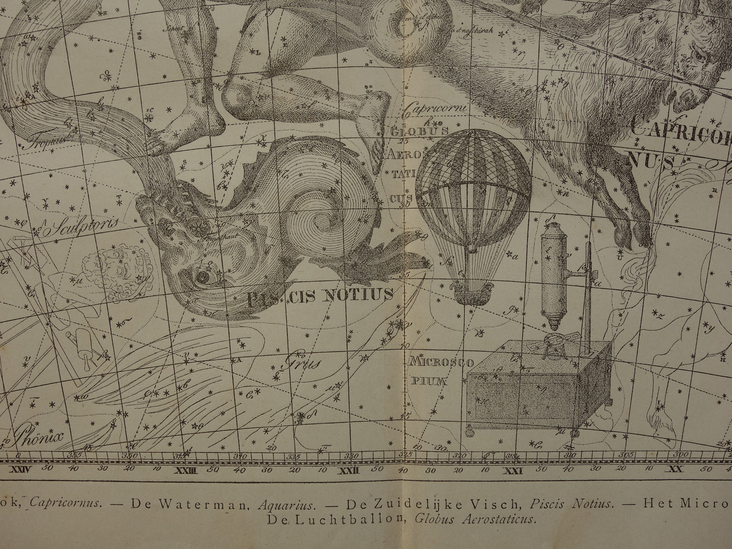 Waterman en Steenbok Oude astrologie prent van sterrenbeeld Antieke sterrenkaart astronomie sterrenbeelden vintage print