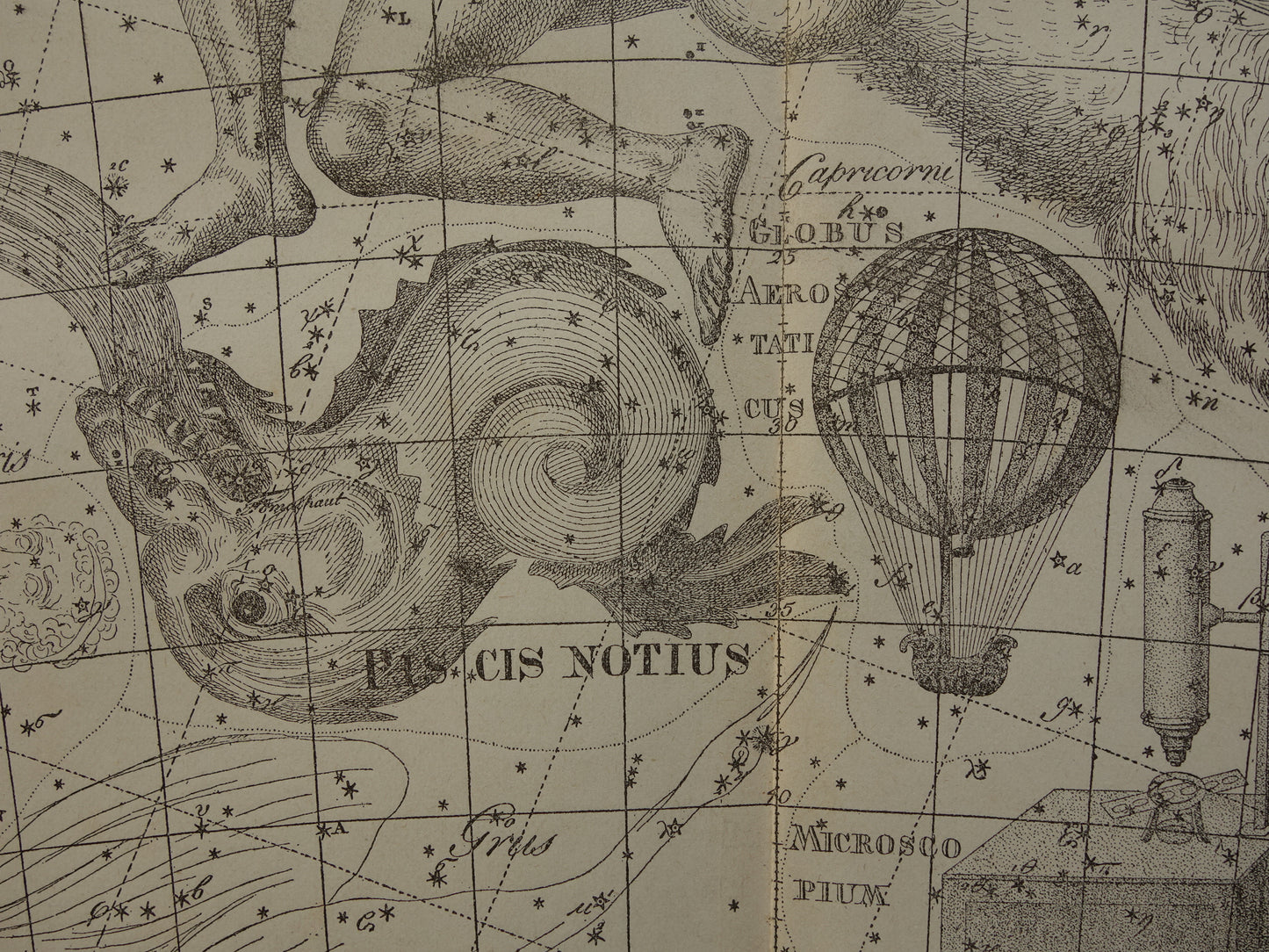 Waterman en Steenbok Oude astrologie prent van sterrenbeeld Antieke sterrenkaart astronomie sterrenbeelden vintage print