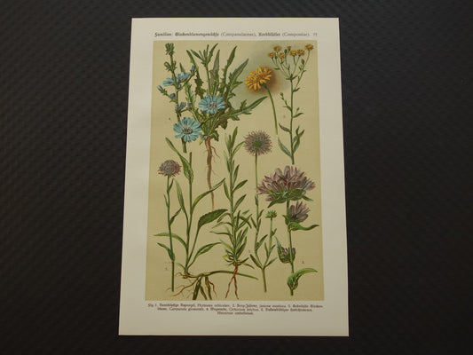 bloemen muurdecoratie vintage