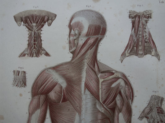 afstuderen geneeskunde cadeau