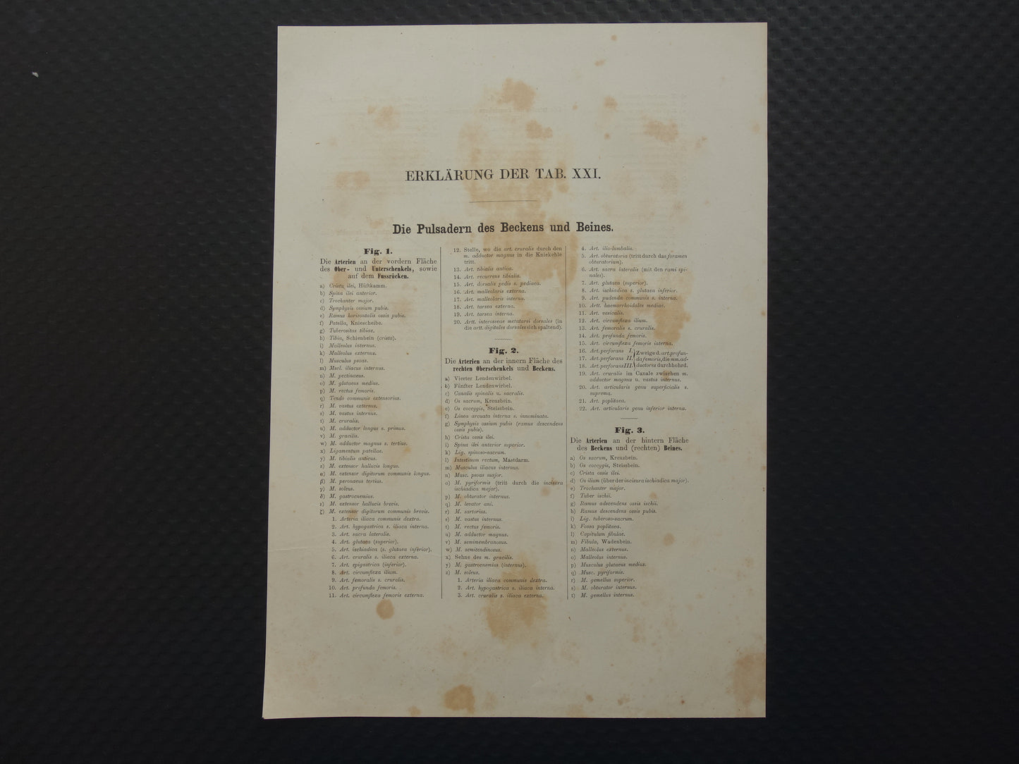 Oude anatomie print bloedvaten been voet 1871 Antieke prent slagaders benen voeten Vintage anatomische illustratie