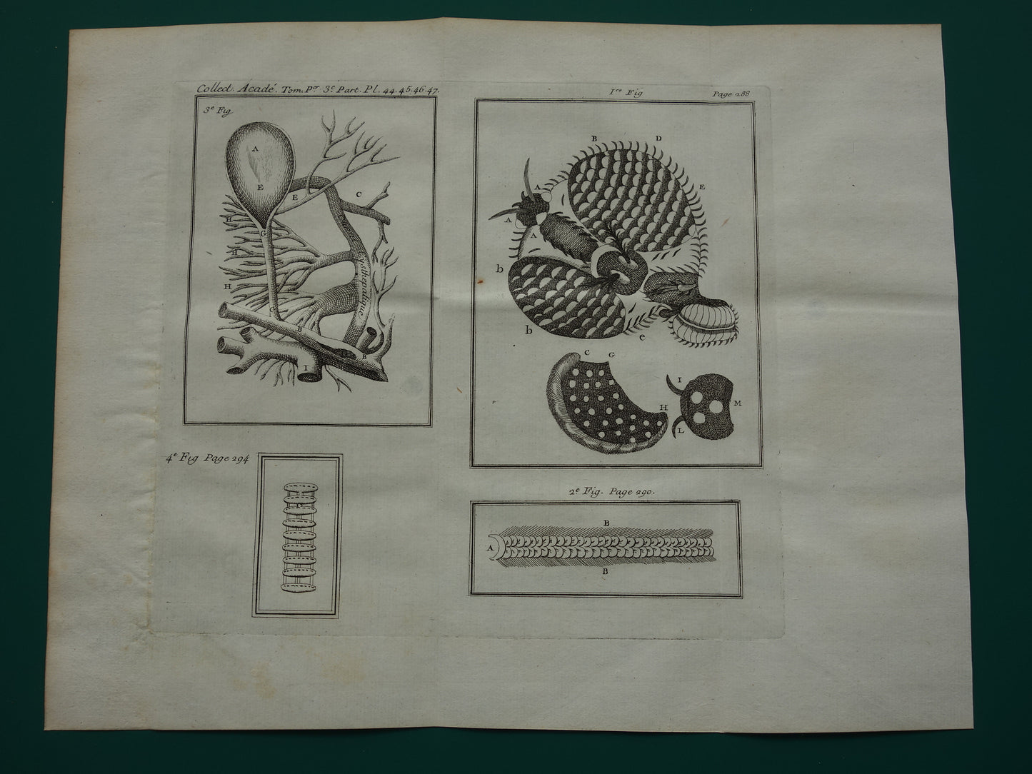 Set of 3 old prints to illustrate Scientific articles journal des scavans