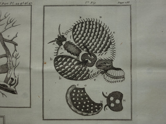 Set van 3 oude prenten ter illustratie Wetenschappelijke artikelen journal des scavans