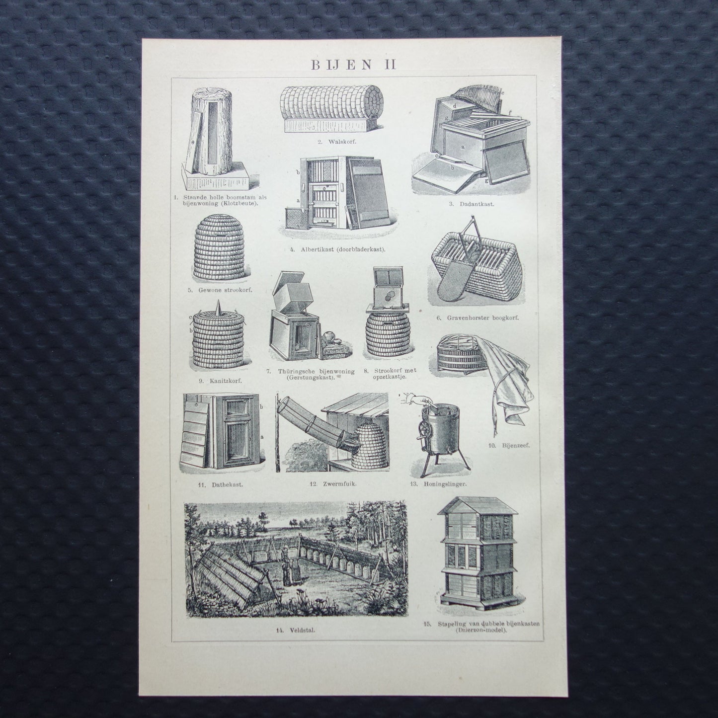 BIJEN Oude prent Bij Imker Bijenkorf originele vintage illustratie print Bijen houden