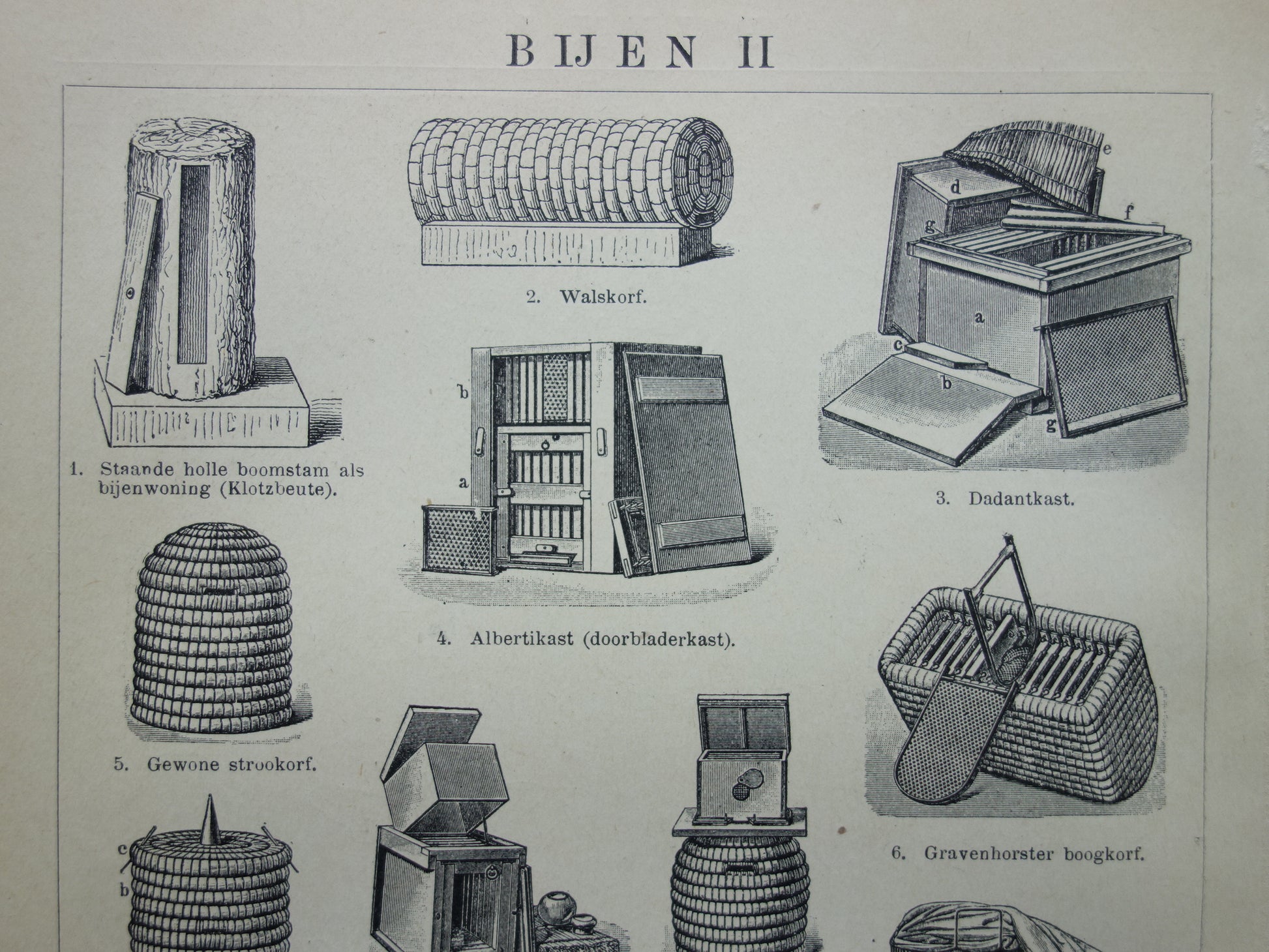 BIJEN Oude prent Bij Imker Bijenkorf originele vintage illustratie print Bijen houden