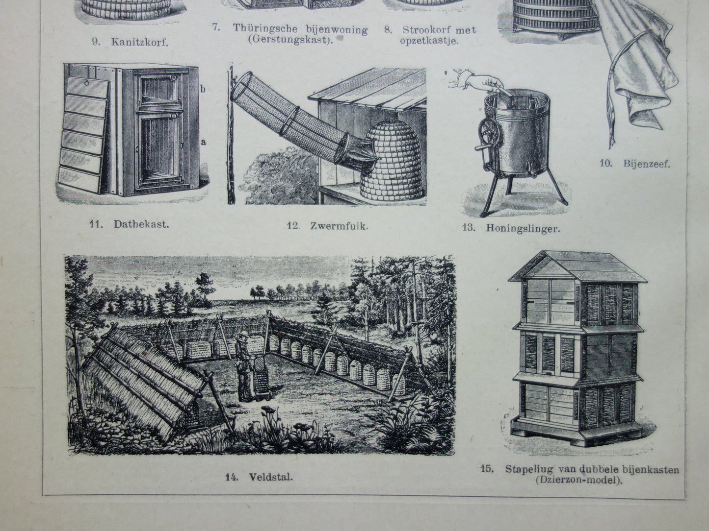 BIJEN Oude prent Bij Imker Bijenkorf originele vintage illustratie print Bijen houden