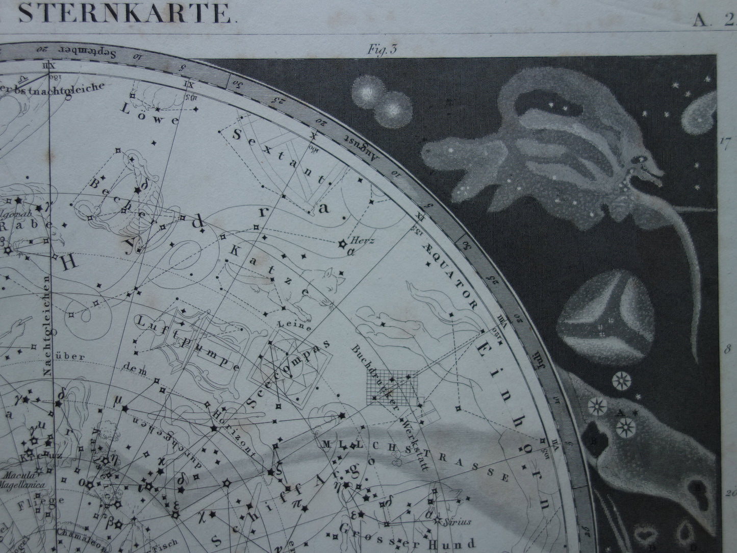 Antieke astronomie prent van de zuidelijke sterrenhemel 1849 originele oude print sterren en sterrenbeelden hemel