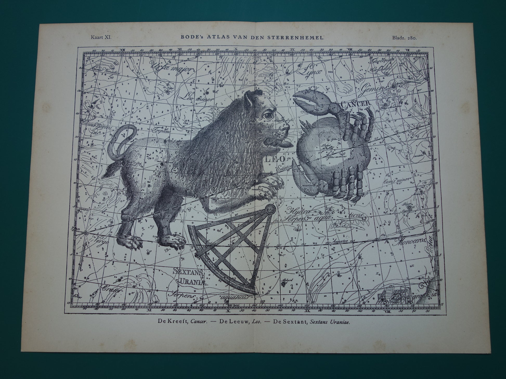 Leeuw en Schorpioen Oude astrologie prent van sterrenbeeld - Antieke sterrenkaart astronomie - Sterrenbeelden vintage print