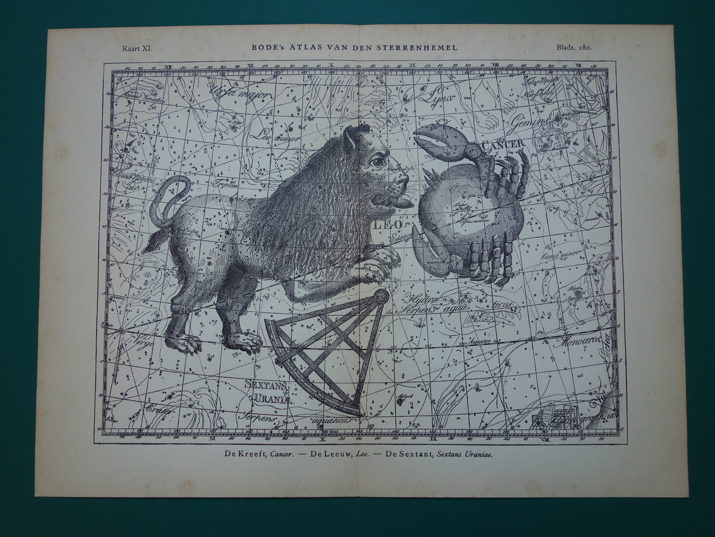 Leeuw en Schorpioen Oude astrologie prent van sterrenbeeld - Antieke sterrenkaart astronomie - Sterrenbeelden vintage print
