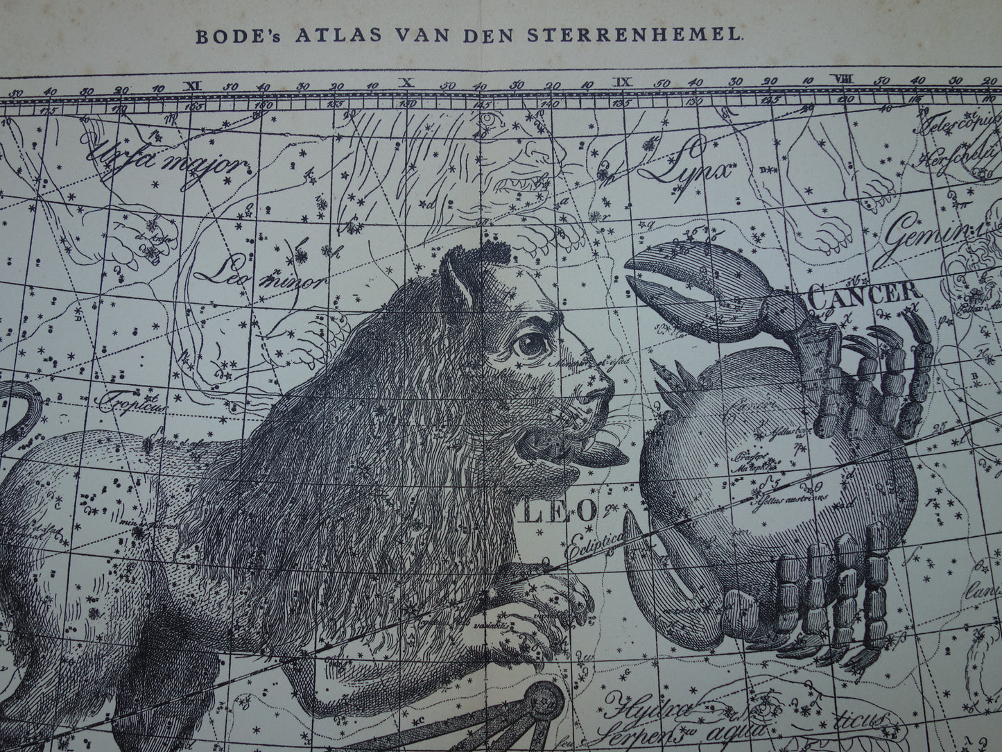 Leeuw en Schorpioen Oude astrologie prent van sterrenbeeld - Antieke sterrenkaart astronomie - Sterrenbeelden vintage print