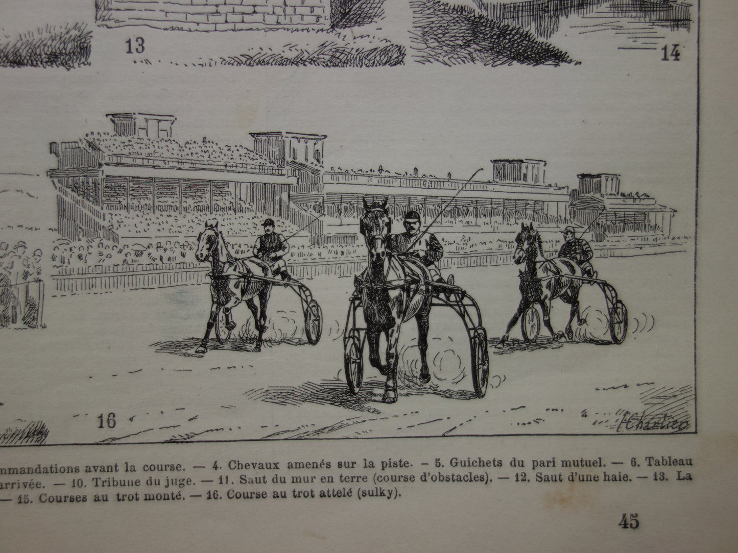 Rensport vintage illustratie - originele antieke prent paardenrace - paarden jockey paardenrennen oude print