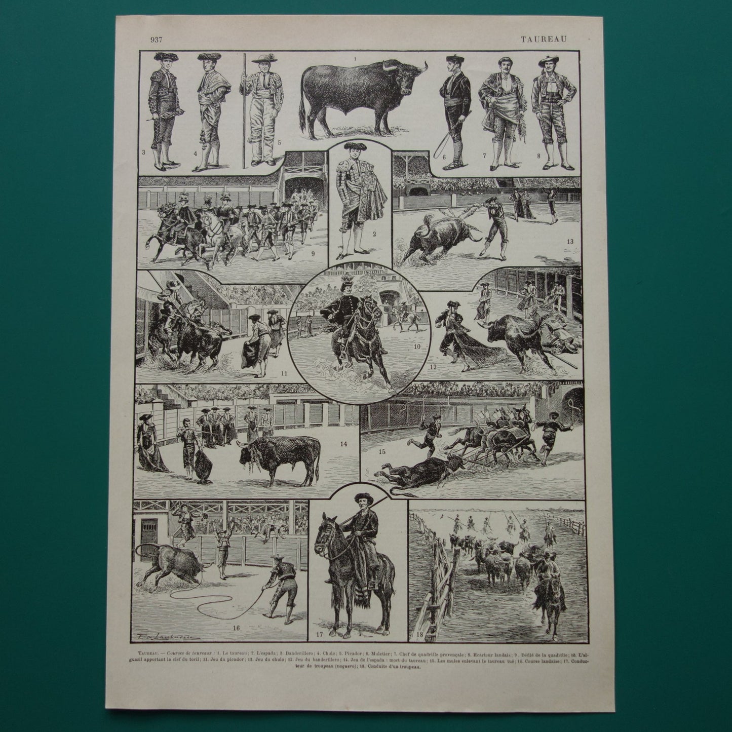 Stierenvechten antieke prent Oude illustratie toreador stierengevecht Vintage Franse print prenten