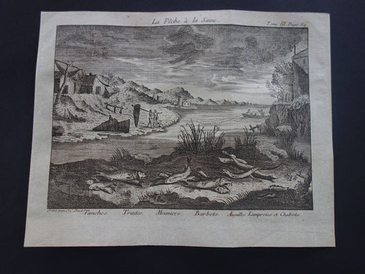 VISSEN & VISSERIJ Set van 2 originele antieke gravures 1771 Prenten Visser Vissoorten Oude Prints