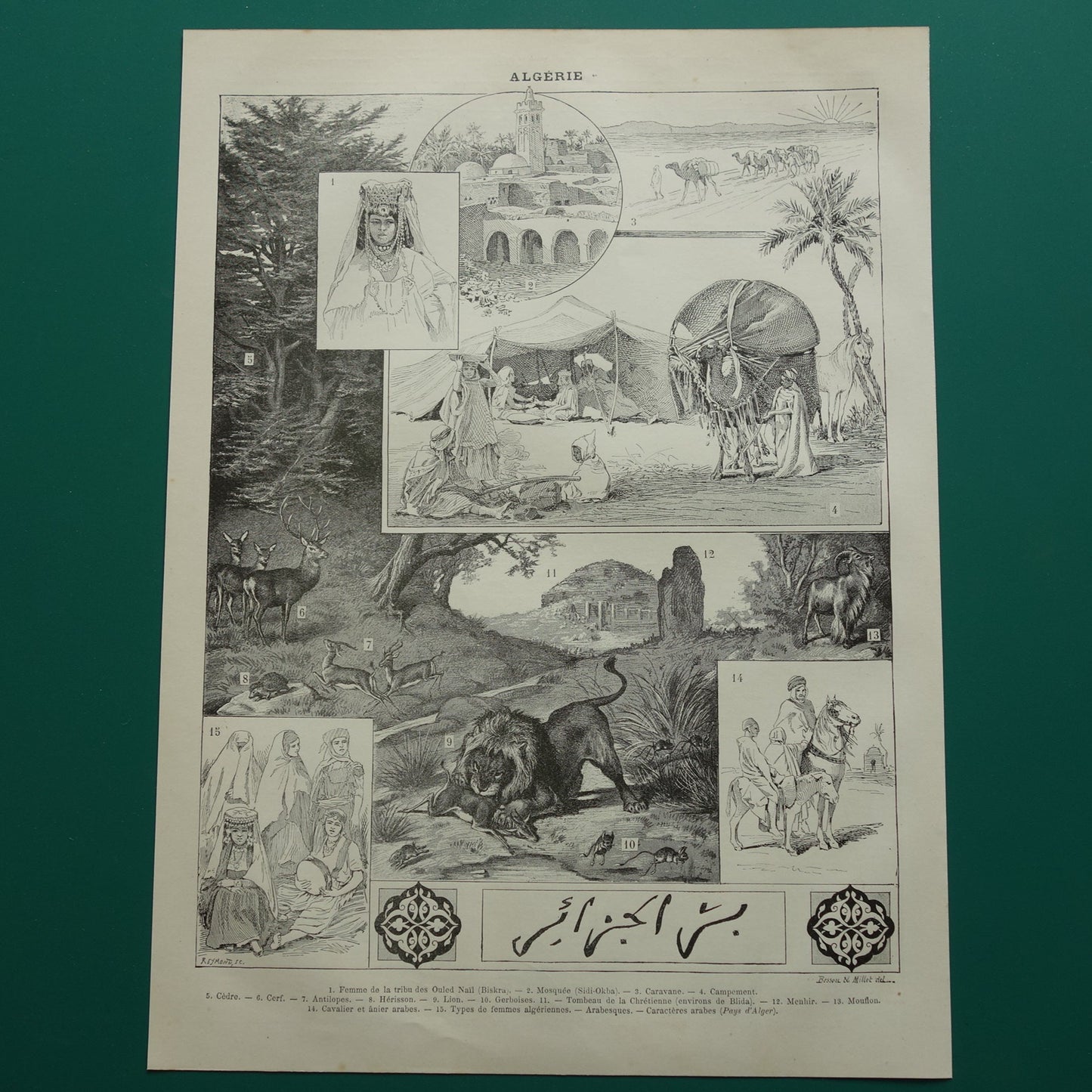 Oude prent over Algerije Originele antieke illustratie Algerijnse klederdracht natuur cultuur Vintage Prints