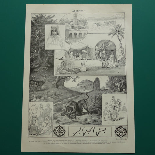 Oude prent over Algerije Originele antieke illustratie Algerijnse klederdracht natuur cultuur Vintage Prints