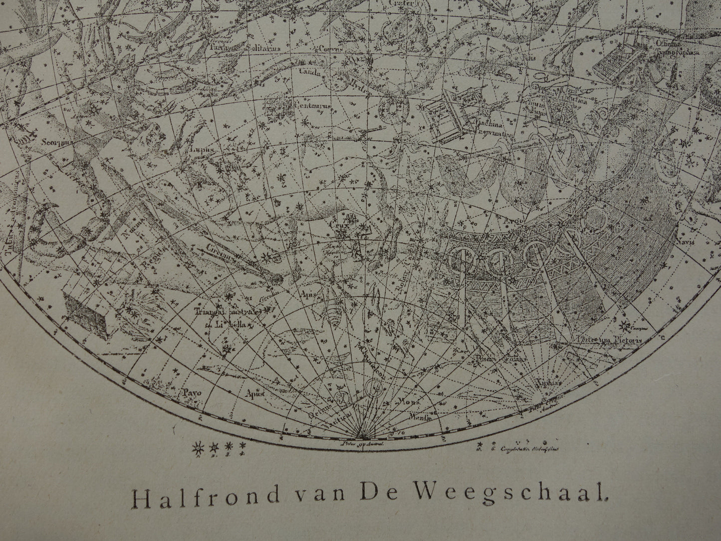 Antieke astronomie prent van de noordelijke en zuidelijke sterrenhemel 1905 originele vintage print sterrenbeelden oude astrologie print