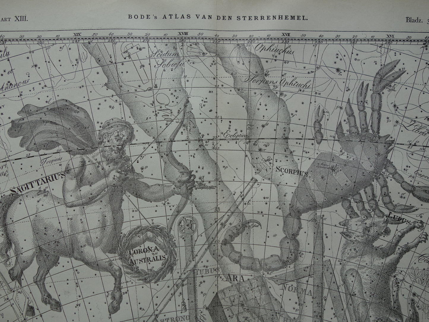 Oude astrologie prent van sterrenbeeld Schorpioen en Boogschutter Antieke sterrenkaart astronomie sterrenbeelden vintage print