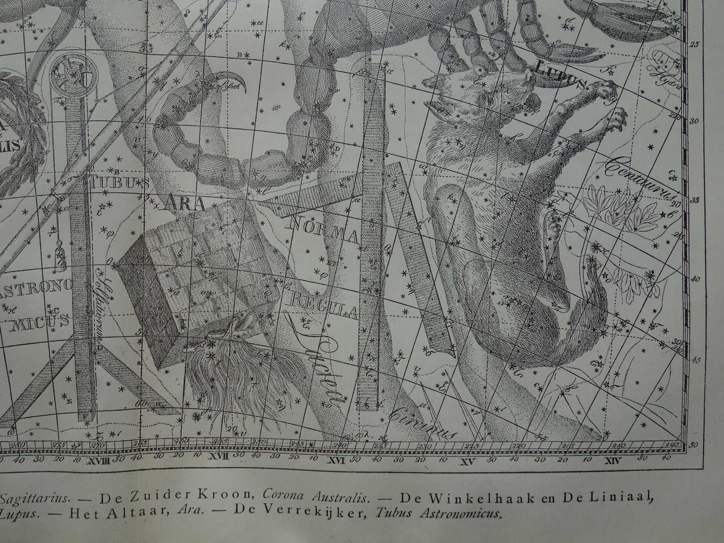 Oude astrologie prent van sterrenbeeld Schorpioen en Boogschutter Antieke sterrenkaart astronomie sterrenbeelden vintage print